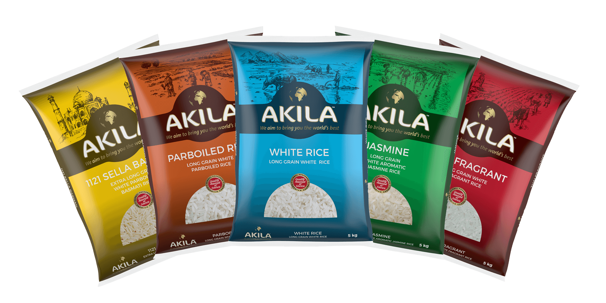 Sample Page - Akila